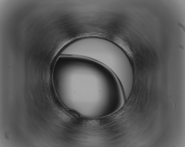 X0000091950156200709061047