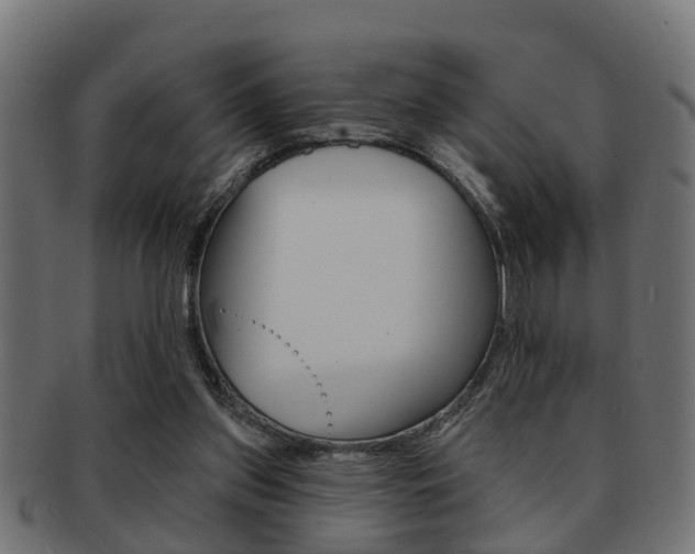 X0000091950157200709061047