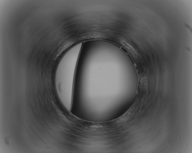 X0000091950158200709061047