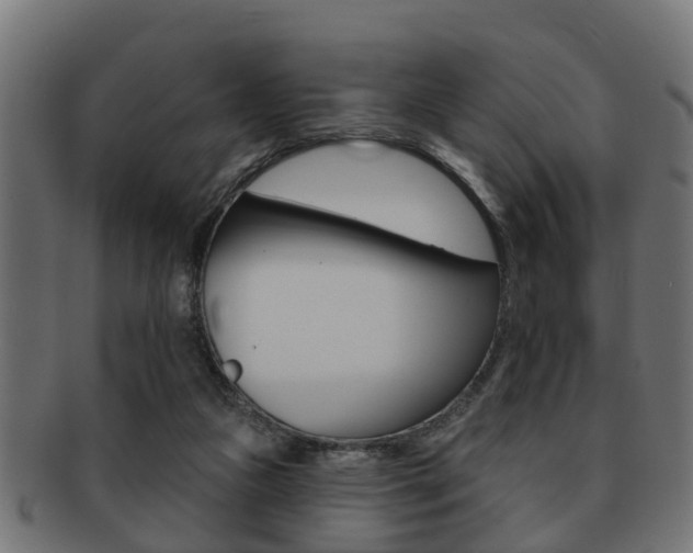 X0000091950161200709061047