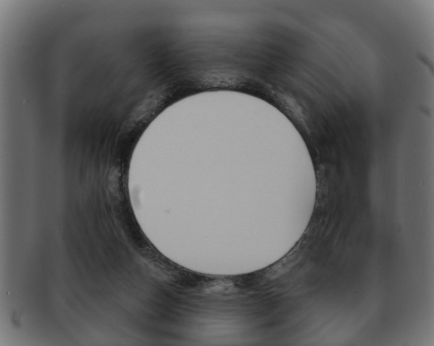 X0000091950162200709061047