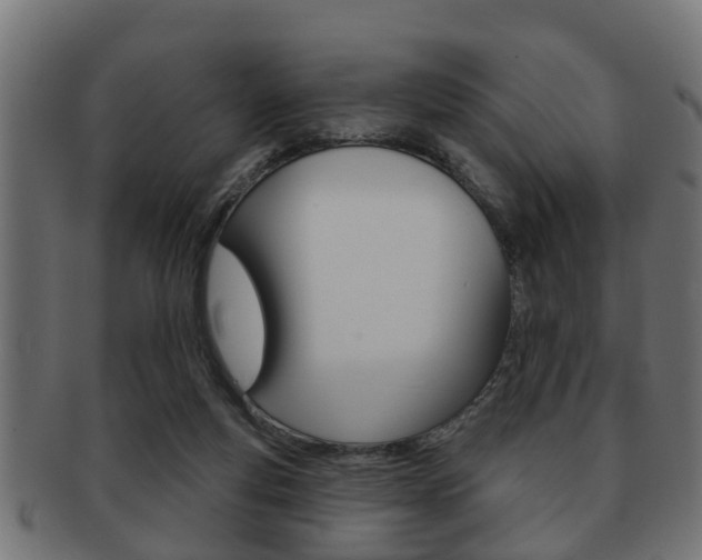 X0000091950163200709061047