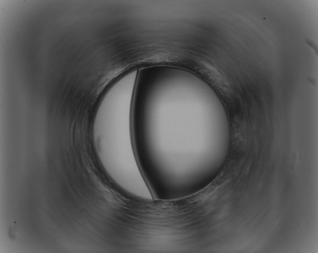 X0000091950164200709061047