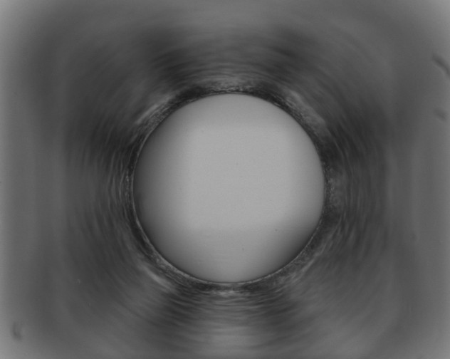 X0000091950165200709061047