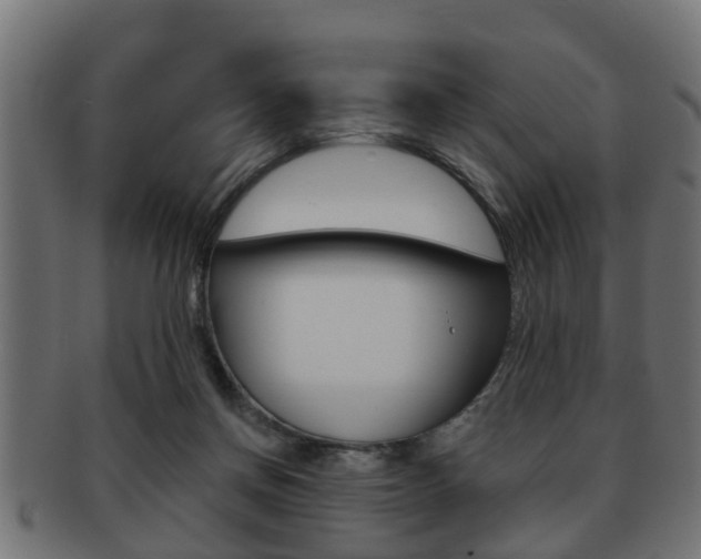 X0000091950166200709061047