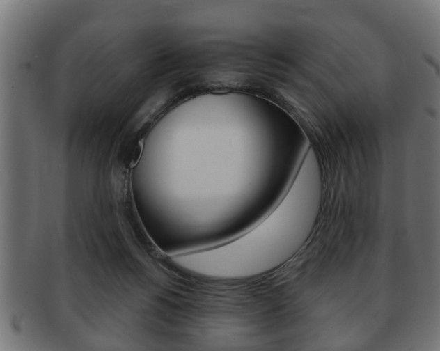X0000091950168200709061047