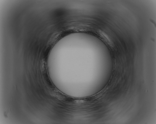 X0000091950169200709061047