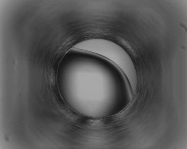 X0000091950170200709061047