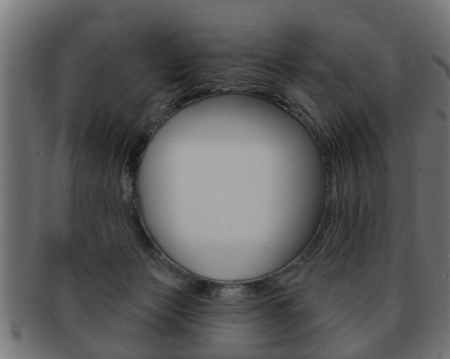 X0000091950173200709061047