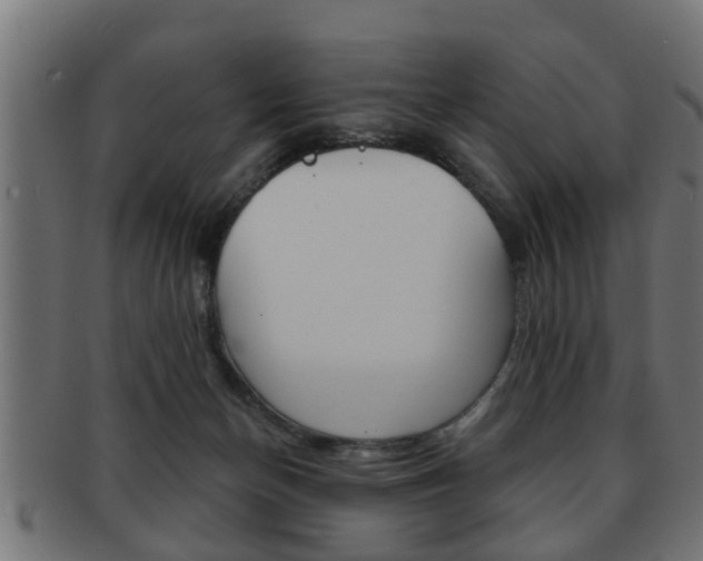 X0000091950174200709061047