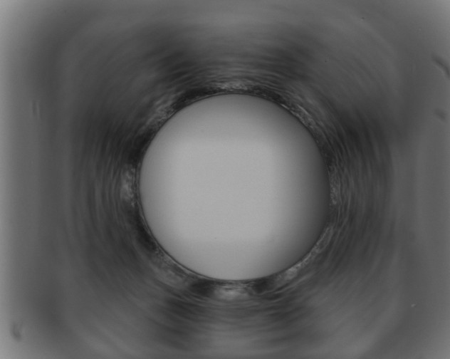 X0000091950175200709061047