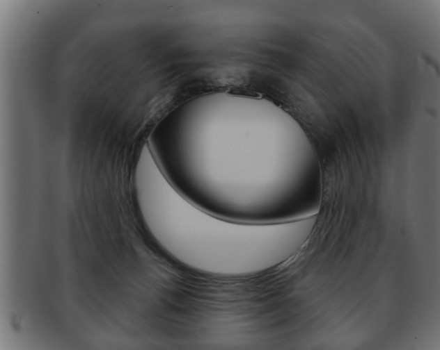 X0000091950176200709061047