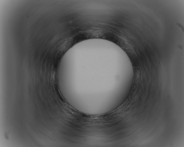 X0000091950177200709061047