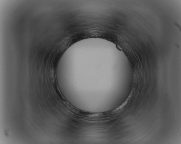 X0000091950178200709061047
