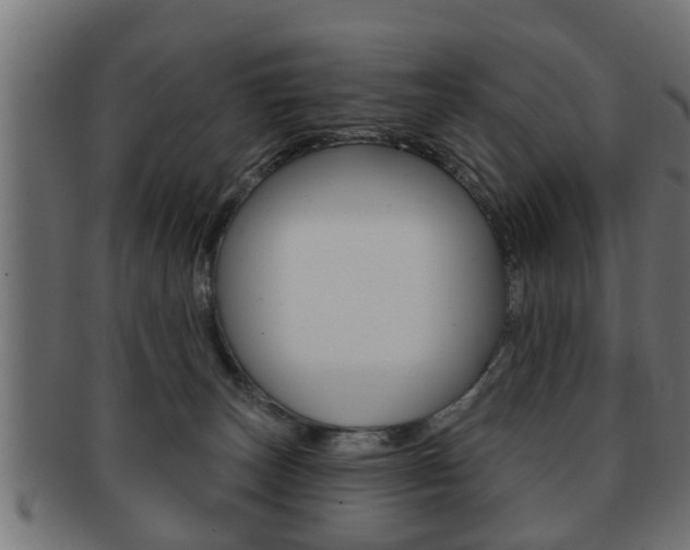 X0000091950179200709061047