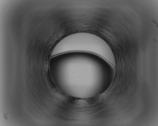 X0000091950180200709061047