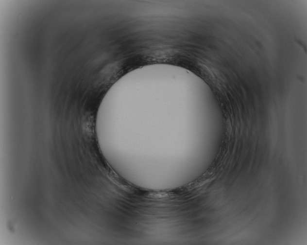 X0000091950181200709061047