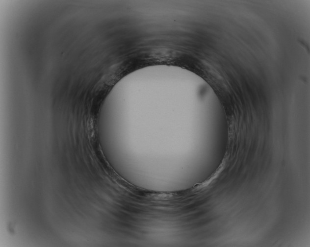 X0000091950182200709061047