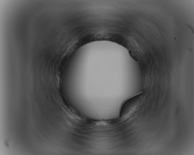 X0000091950183200709061047
