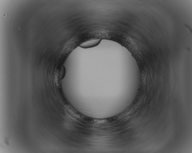 X0000091950185200709061047
