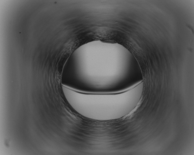 X0000091950186200709061047