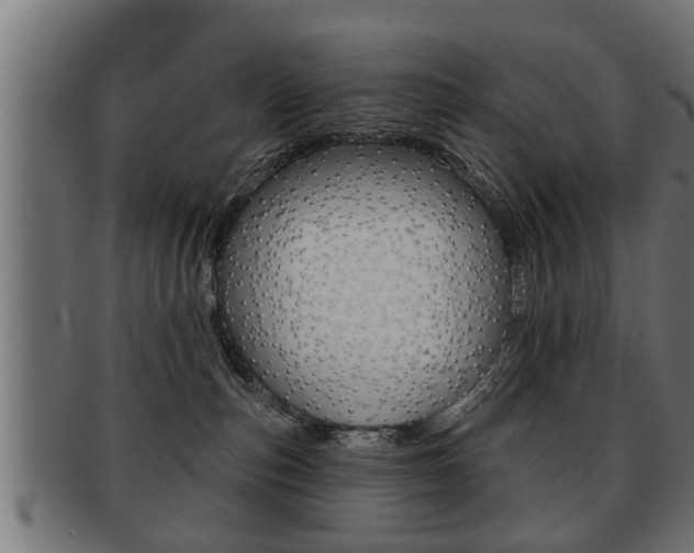 X0000091950187200709061047