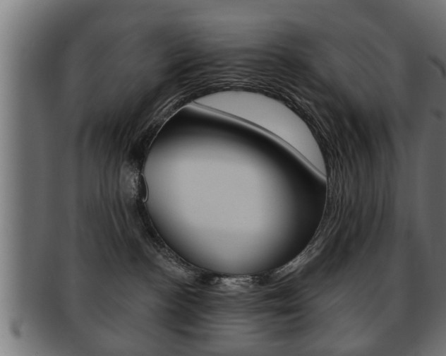 X0000091950188200709061047