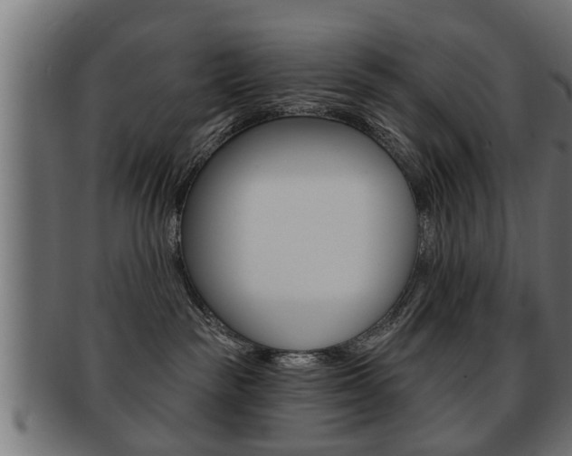 X0000091950189200709061047