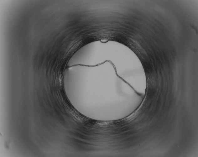 X0000091950190200709061047