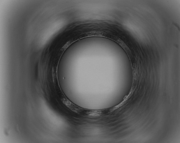X0000091950191200709061047