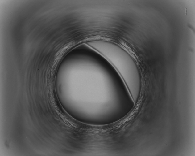 X0000091950193200709061046