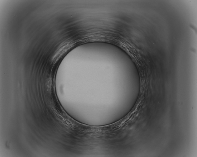 X0000091950194200709061046