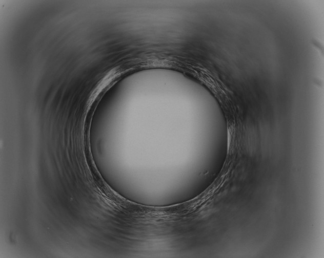 X0000091950195200709061046