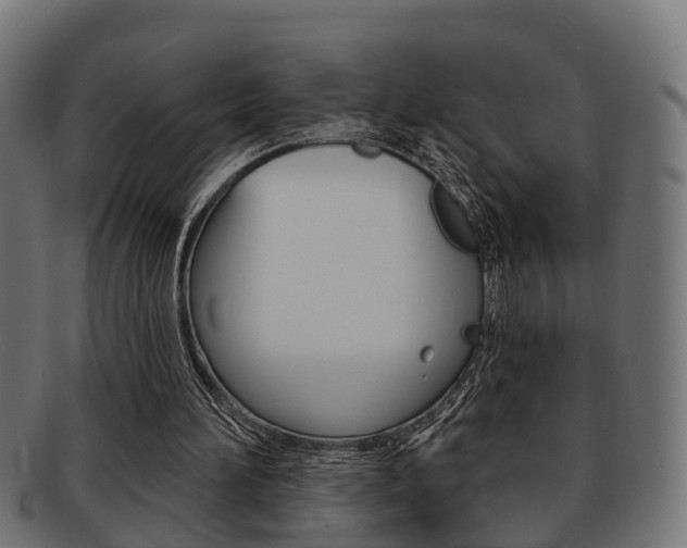 X0000091950196200709061046