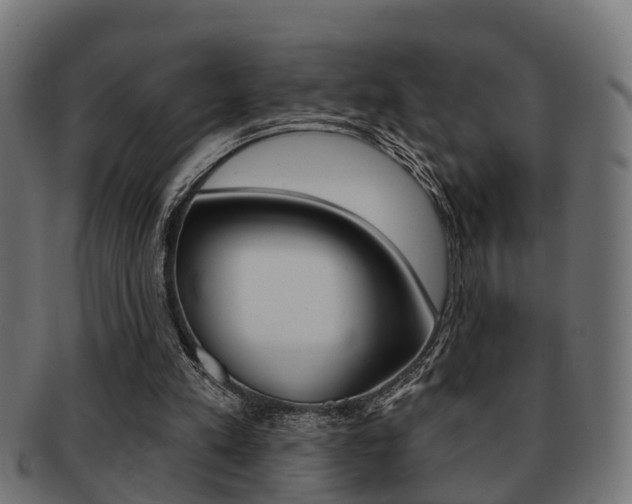 X0000091950197200709061046
