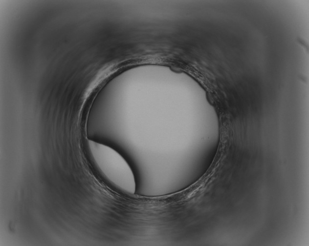 X0000091950198200709061046