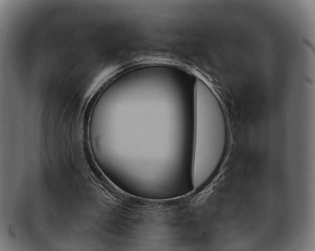X0000091950199200709061046