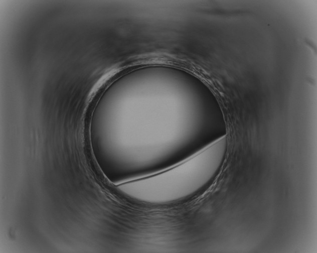 X0000091950200200709061046