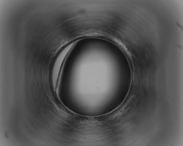 X0000091950201200709061046