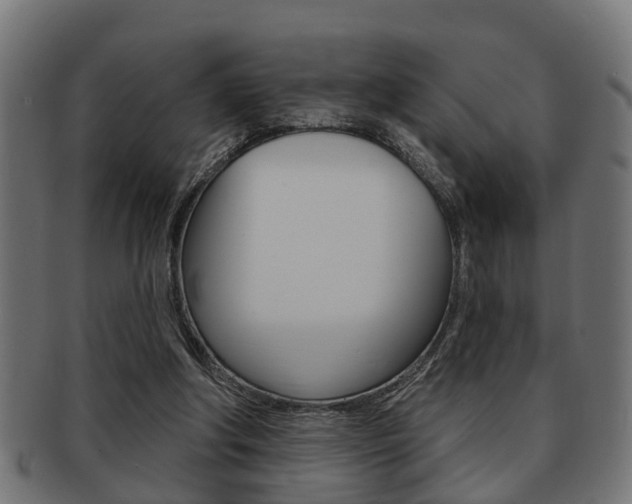 X0000091950202200709061046