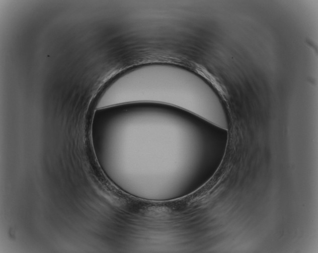 X0000091950203200709061046