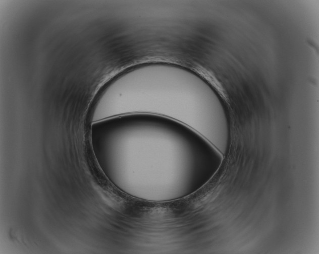 X0000091950204200709061046