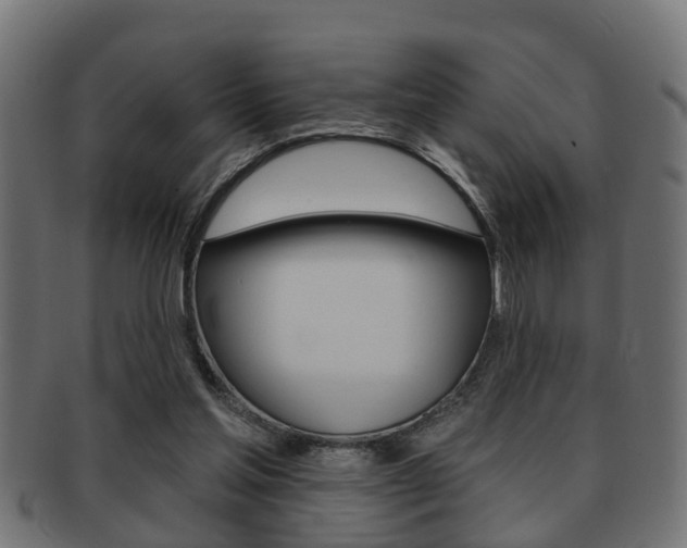 X0000091950205200709061046