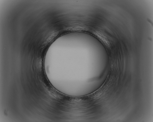 X0000091950206200709061046