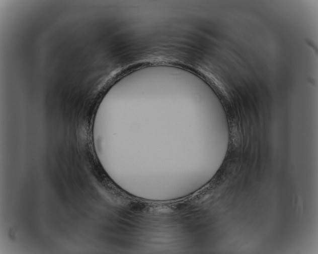 X0000091950208200709061046