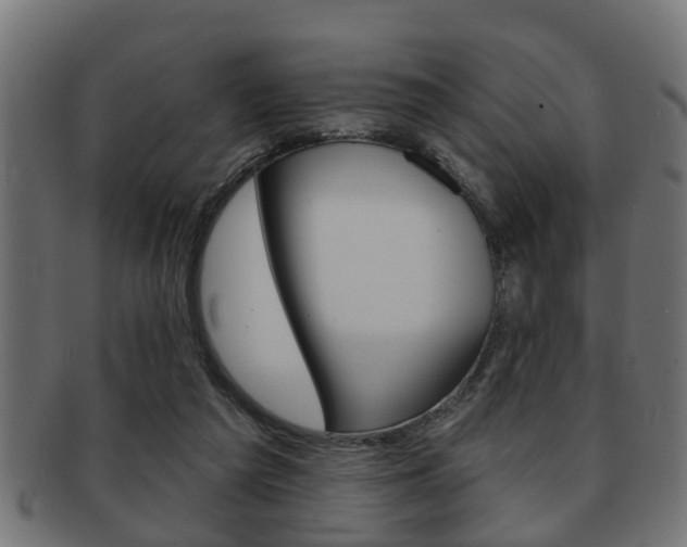 X0000091950209200709061046