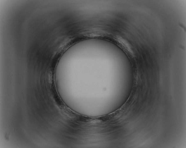 X0000091950210200709061046