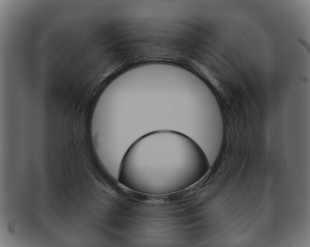 X0000091950211200709061046