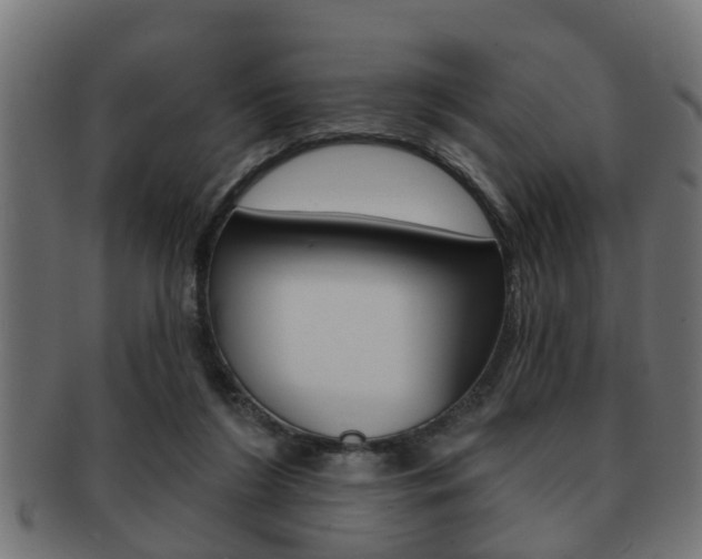 X0000091950212200709061046