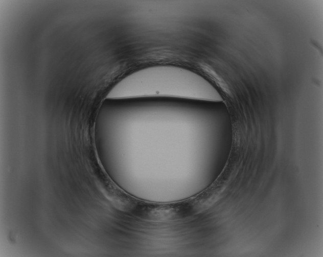 X0000091950213200709061046